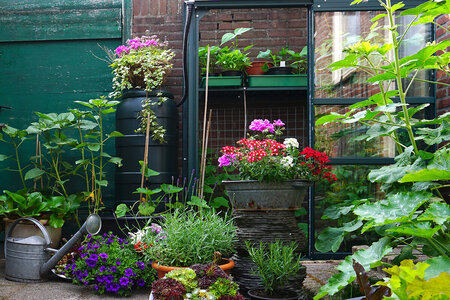 Urbant hagearbeid med mini aluminium drivhus